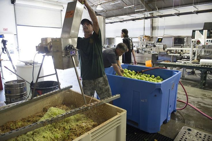 sf gate sonoma county hard cider revival…